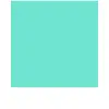 Image de Vinyle permanent menthe 33 x 90 cm, compatible CRICUT EXPLORE et MAKER