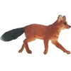 Image de SAFARI - renard