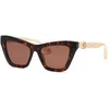Image de Roberto Cavalli Lunettes De Soleil Pour Femme Src091m Cat Eye
