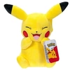 Image de Peluche | Pokemon | Pikachu 20cm