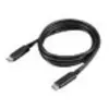 Image de - Câble USB - 24 pin USB-C (M) pour 24 pin USB-C (M) - 20 V - 5 A - 1 m - support 4K, Alimentation USB (5A, 100 W) - noir