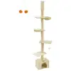 Image de Arbre à chat du sol au plafond, Beige