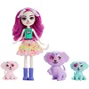Image de Enchantimals - Famille - Mini Poupee 15 Cm