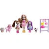 Image de Coffret Famille Dwyla Chien Et Accessoires - Multicolore