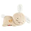 Image de Fisher-Price Lapin Apaisant pour Bébé en occasion ou reconditionné