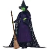 Image de Poupée Mattel Wicked Deluxe Elphaba Violet 29 cm MATTHXY38