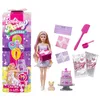 Image de Barbie Cadeau Surprise Coffret poupée et Accessoires Noeuds d’Anniversaire, JFG70 en occasion ou reconditionné