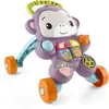 Image de Le Trotteur Du Singe Violet