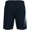 Image de Short Under Armour Woven Graphic Bleu 2XL 1370388-408