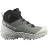 Image de Salomon Bottes De Randonnée Crosstrak Wp