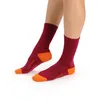 Image de icebreaker - Lifestyle Light Crew - Chaussettes en laine mérinos femme Dk Berry - L (41 - 43)
