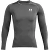 Image de Maillot à manches longues Under Armour HeatGear® Gris S 1361524-025