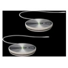 Image de Poly Trio C60 Expansion Microphones - Microphone (pack de 2)
