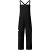 Image de The North Face - M Summit Verbier Gtx Bib - Pantalon ski homme TNF Black - S - Regular
