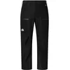 Image de The North Face - M Gtx Dawnstrike Pant - Pantalon ski homme TNF Black - S - Regular