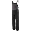 Image de Patagonia - Snowdrifter Bibs - Salopette ski homme Clement Blue - S