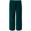 Image de Patagonia - Powder Town Pants - Pantalon ski homme Cascade Green - XS
