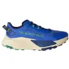 Image de The North Face - Altamesa 500 V2 - Chaussures trail homme TNF Blue / Dimmed Algae - 42.2/3