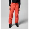 Image de Columbia - Bugaboo V Pant - Pantalon ski homme Zing - L - Regular