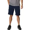 Image de Columbia - Silver Ridge Utility Cargo Short - Short randonnée homme City Grey - US 38 - Entrejambe 10"