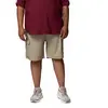 Image de Columbia Short Silver Ridge  Utility Cargo