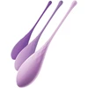 Image de Kit d'entrainement Kegel violet