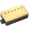 Image de Humbuckers Fluence Humbucker Classic Dore Manche Doubles