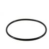 Image de Joint torique pour chlorinateur de piscine - CLX200K - Noir -