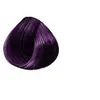Image de Coloration semi-permanente, plum passion, 118ml,,