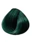 Image de Coloration semi-permanente, voodoo forest, 118ml,,