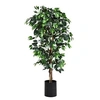 Image de Arbre Artificiel 180 CM Grand Ficus avec Cannes pour Décoration Intérieur / Extérieur 1008 Feuilles
