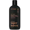 Image de Shampoing 2 en 1 Attitude Super Leaves Patchouli & Bourbon Orange 415 ml 11713