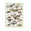 Image de Puzzles - Dinosaures - Période du crétacée - puzzle - 1000 pièces