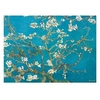 Image de Puzzles - Branches d'amandiers en fleur, Saint Rémy, détail - puzzle - 1000 pièces