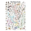 Image de Puzzles - L'arbre de la vie - puzzle - 1000 pièces