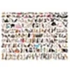 Image de Puzzles - Chats - puzzle - 1000 pièces
