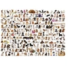 Image de Puzzle - Le monde des chiens, 1000 pièces