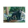 Image de Puzzle decouvertes nouvelles 1000 pieces -