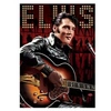 Image de Elvis portrait (Puzzle 1000p, multicolore)