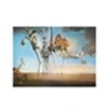 Image de Puzzle - Salvador Dali : La Tentation de Saint. Antoine, 1000 pièces