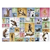 Image de Puzzle 1000 pièces : Le yoga des chats