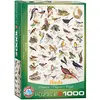 Image de Puzzle 1.000 Pièces Oiseaux 01259 Eurographics en occasion ou reconditionné