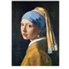Image de EurographicsPuzzles - The Girl with a Pearl Earring - puzzle - 1000 pièces