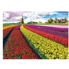 Image de Puzzle 1000 pièces : Champ de tulipes