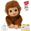 Image de Little Live Pets - Mon Bebe Singe
