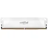 Image de Crucial Pro - Overclocking Edition - DDR5 - module - 16 Go - DIMM 288 broches - 6400 MHz / PC5-51200 - CL38 - 1.35 V - mémoire sans tampon - non ECC