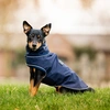 Image de Horseware Signature Dog Rain Coat 0g M
