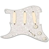 Image de Pickguard DG20 David Gilmour Pro Series Strat gaucher avec micros simples