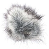 Image de BRISE VENT DEADKITTEN