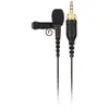 Image de Micro Lavalier RodeLink